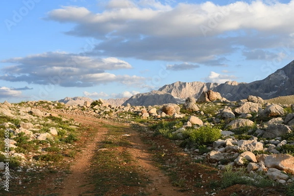 Fototapeta road in the mountains