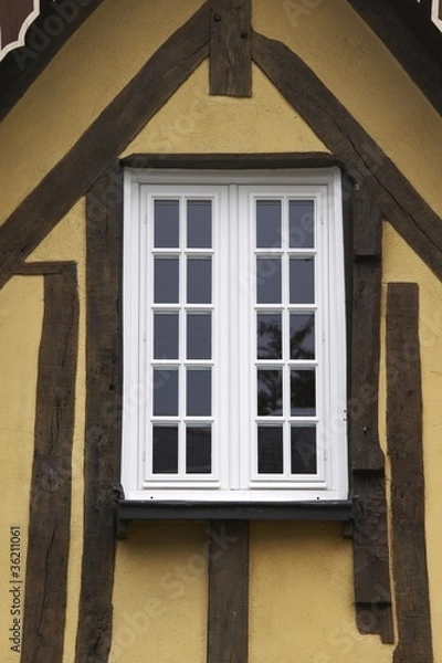 Fototapeta fougères en bretagne