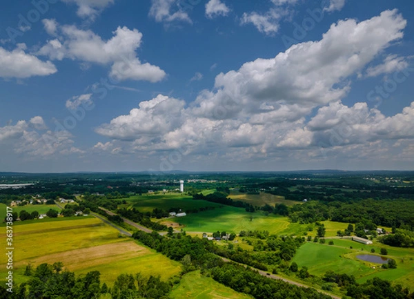 Fototapeta Field with green with grass meadows on a bright sunny day.