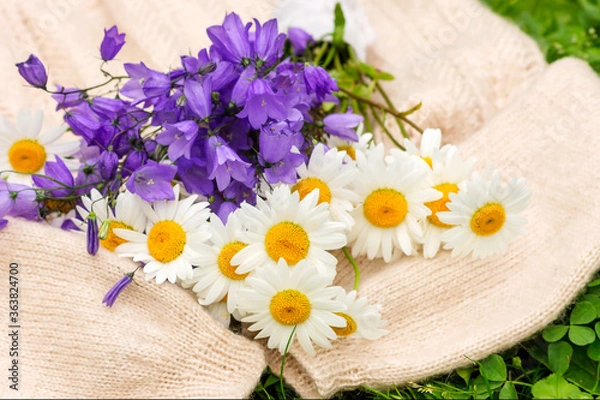 Fototapeta A delicate bouquet of field daisies and blue cornflowers lies on a warm women's sweater.