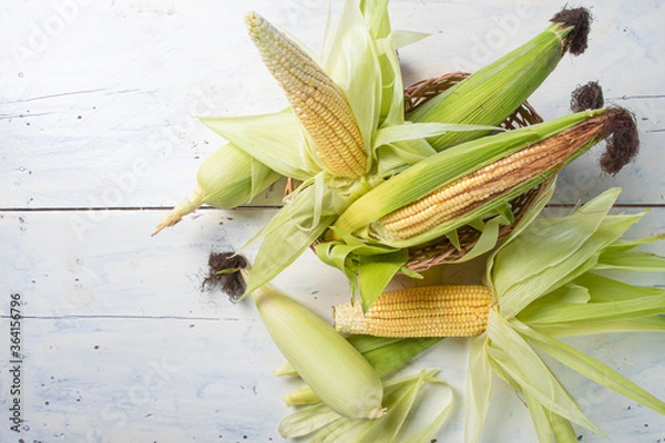 Fototapeta Green corn arranged on a white wooden table on a white background. Top view.