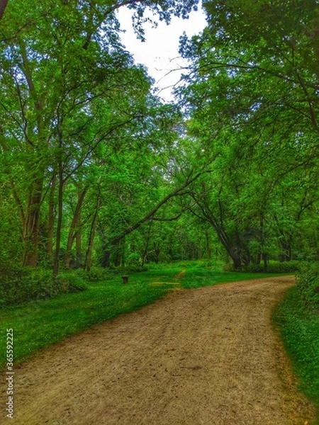 Fototapeta path in the park