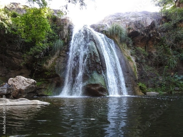 Fototapeta waterfall in the forest