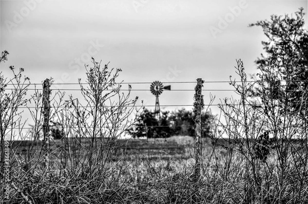 Fototapeta perimeter fence in a field with a diffuse windmill in the background