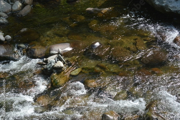 Fototapeta Beauty in the Smokies