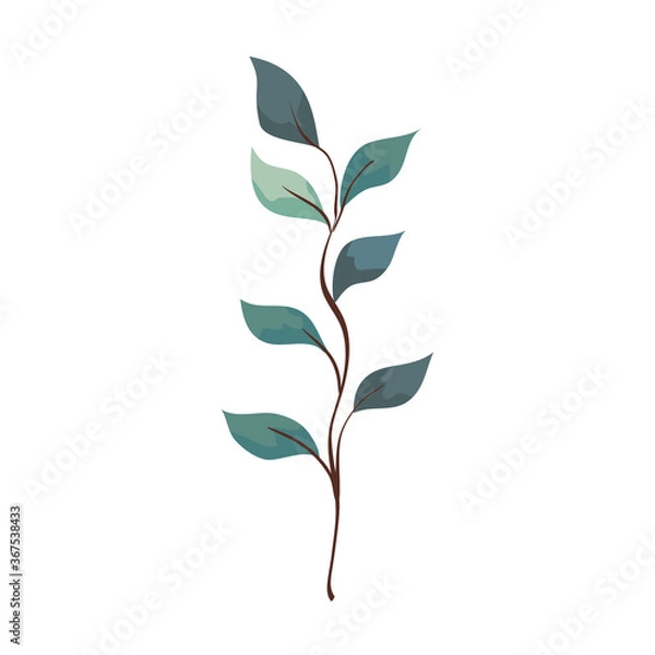 Obraz branch with leaves on white background vector illustration design