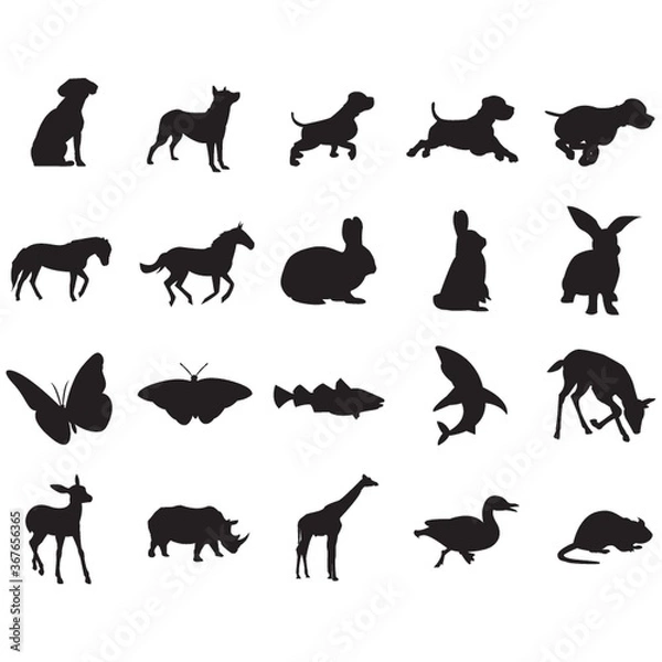 Fototapeta silhouette of animals