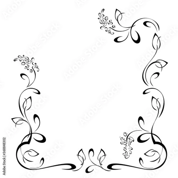 Fototapeta frame 52. unique decorative frame with stylized flowers on stems with leaflets and curls in black lines on a white background