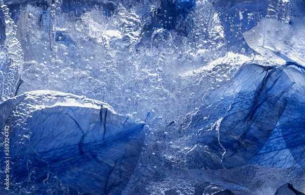 Fototapeta   Blue leaves in ice. Macro. Frozen flowers.Selective focus  