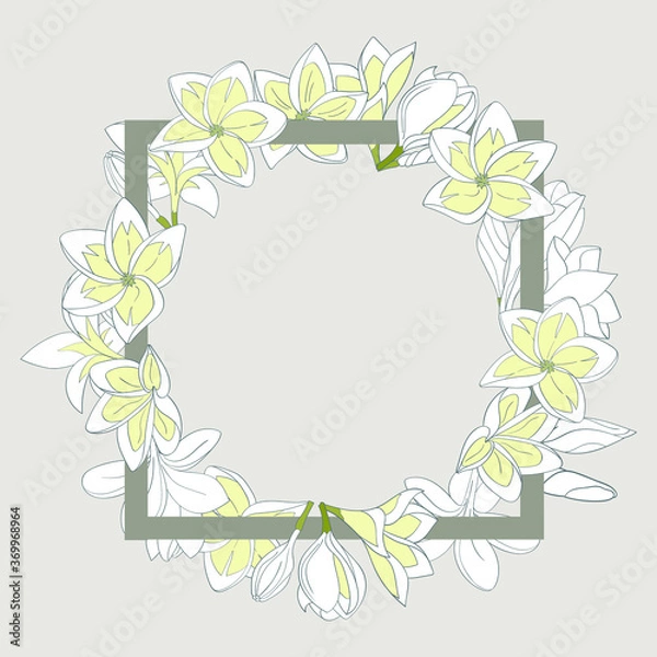 Fototapeta Tropical frangipani in a circle and a square frame, empty space for text, vector illustration