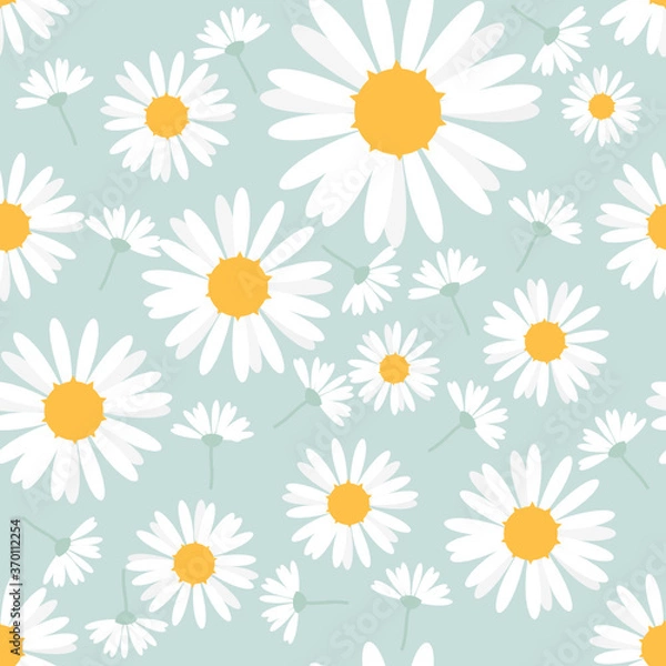 Fototapeta Daisies seamless pattern.