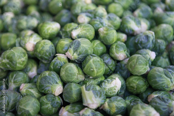 Fototapeta fresh brussels sprouts