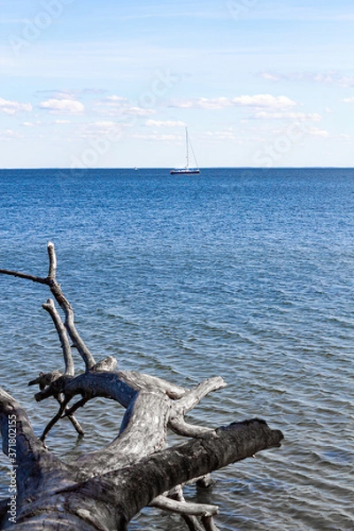 Fototapeta Segelschiff