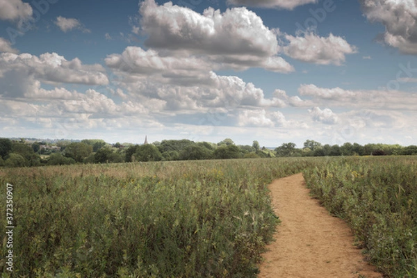 Fototapeta lovely countryside of Oxfordshire