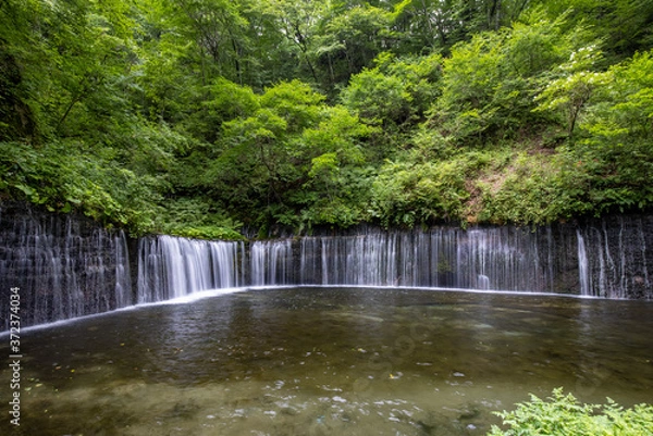 Fototapeta 群馬　軽井沢　白糸の滝