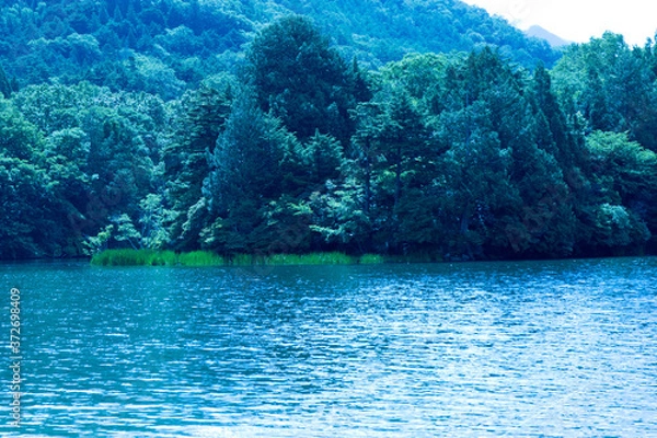 Fototapeta 湖と森の風景