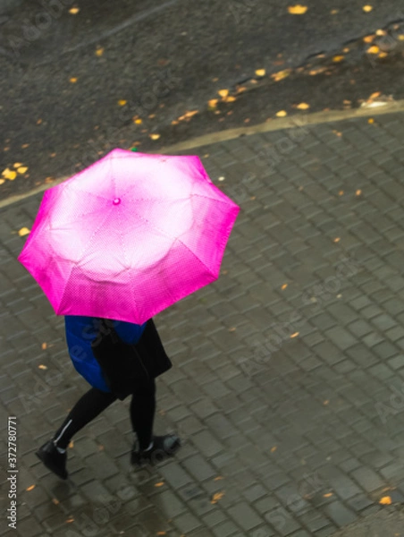 Fototapeta Woman walking down the street under a pink umbrella, autumn rainy day.