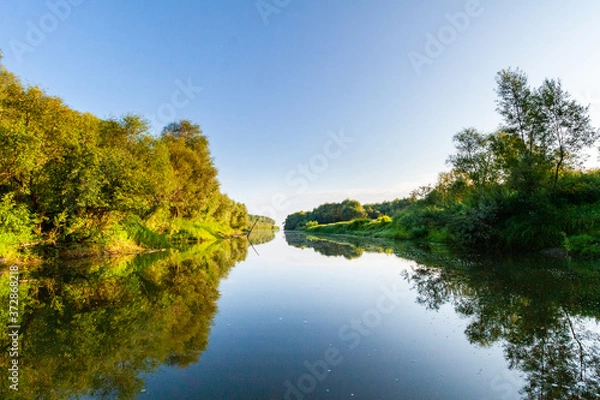 Fototapeta Siberian River Ob surrounded by Trees in Early morning in Russia in sunny weather during summer