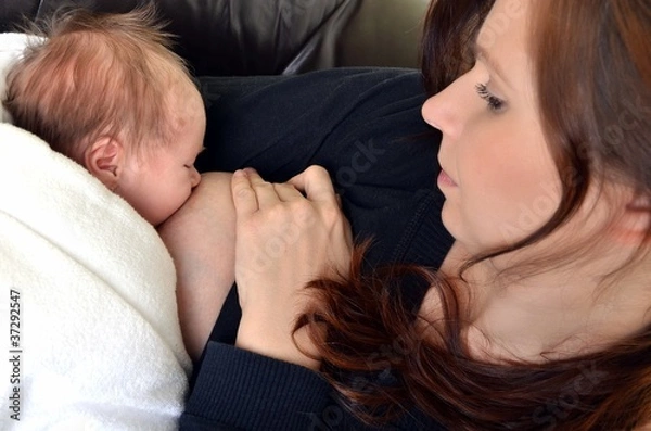 Fototapeta bébé tétant le sein de sa maman