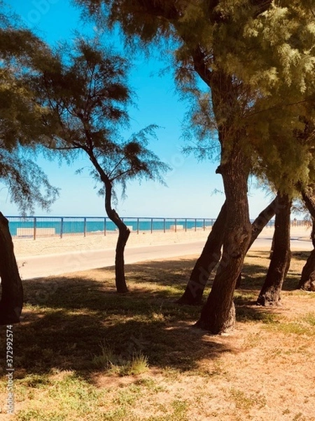 Fototapeta tree on the beach