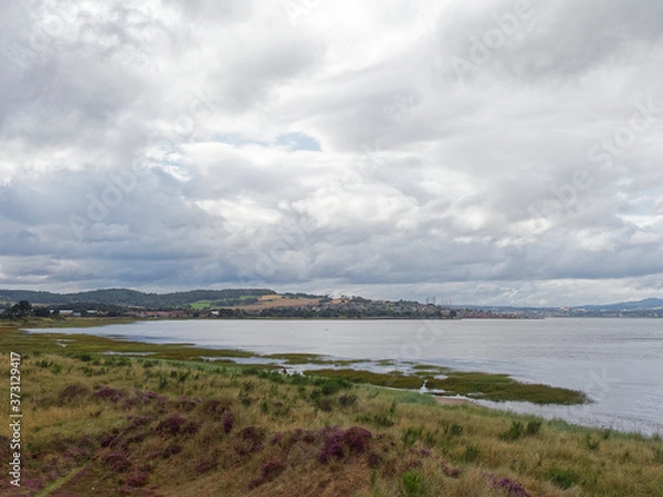 Fototapeta Looking back at Tayport from the grasslands and Marsh of Tay Heath on an overcast day in August.