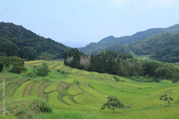 Fototapeta Scecery of boso peninsula ,japan,chiba