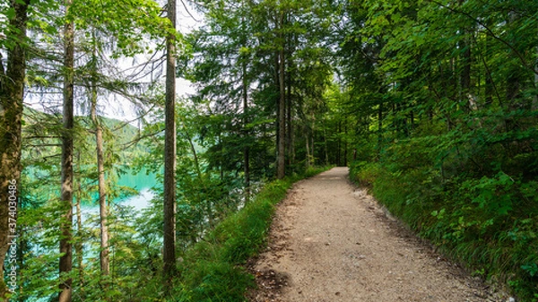 Fototapeta Blick vom Fuschlsee Rundweg auf den türkisblauen Fuschlsee