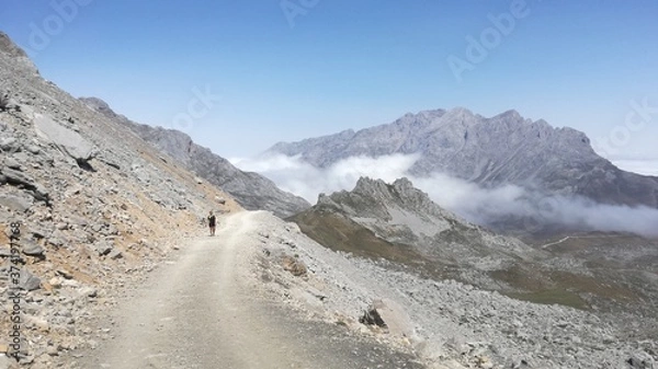 Fototapeta road to the mountains