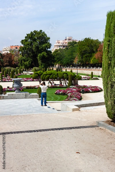 Fototapeta Beautiful Park with a lot of green trees and bushes in Madrid, Span in September during the sunny day