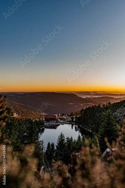 Fototapeta sunset in the forest over the lake