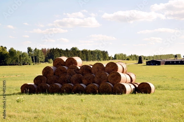 Fototapeta Wielkie bele siana na polu w południowym słońcu