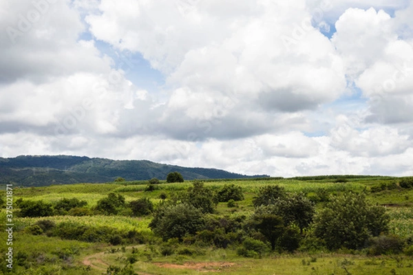 Fototapeta Hermoso paisaje en Morelos México nubes, montañas, campo verde