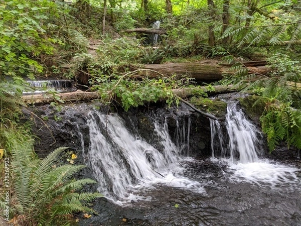 Fototapeta waterfall in the forest