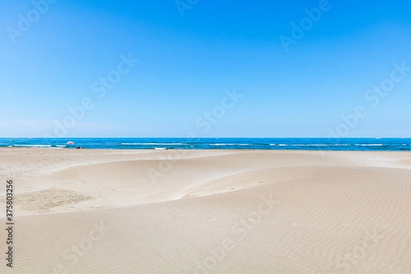 Fototapeta Paysage de dunes de sable à la pointe de l'Espiguette sur la côte méditerranéenne (Occitanie, France)