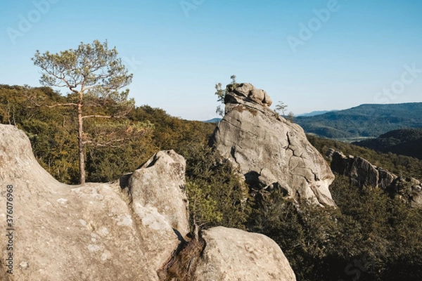 Fototapeta Landscape with high stone rock in a green forest under a blue sky on a background of mountains. Copy, empty space for text