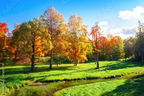 Fototapeta Autumn landscape