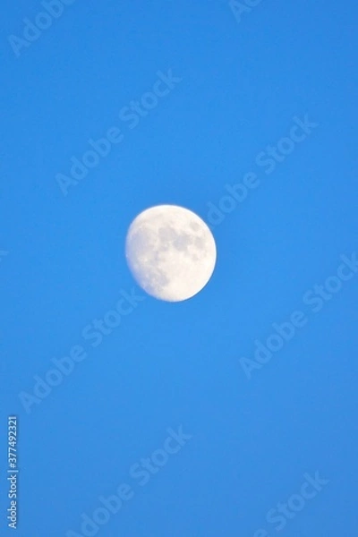 Fototapeta Full Moon in blue dusk sky background