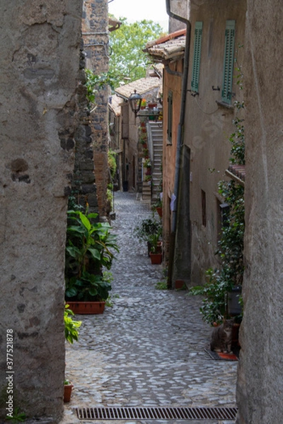 Fototapeta The alley in the Middle Ages village ,a narrow passageway between buildings was built in the 15th century.