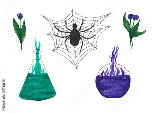 Fototapeta Set of Halloween watercolor illustrations isolated on white background. Spider, potion, plants.