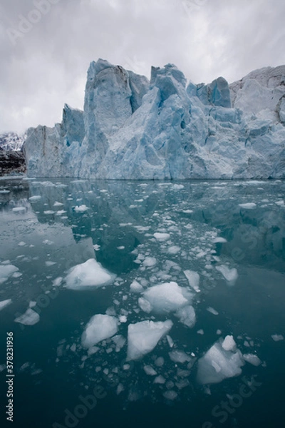 Fototapeta Glacier and Icebergs, South Georgia Island, Antarctica