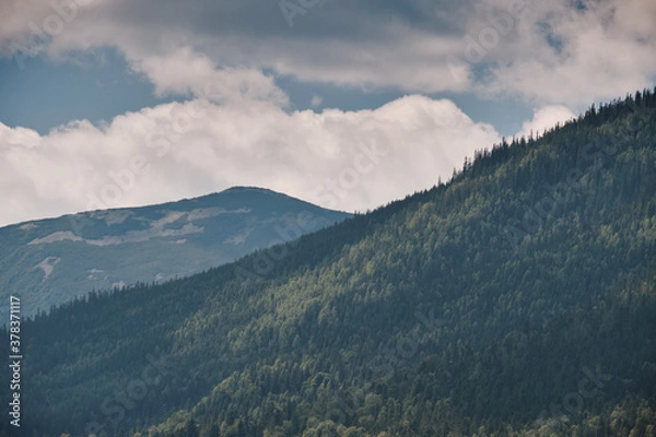 Fototapeta Gorgany ridge in Ukraine Carpathians Mountains. Summer sunny day. Sivulya and Icrovec mountains.