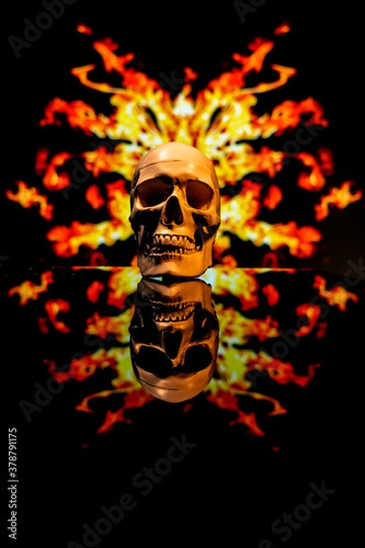 Fototapeta skull surrounded by flames