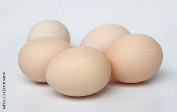 Fototapeta eggs isolated on white