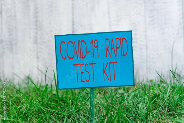 Fototapeta Conceptual hand writing showing Rapid Test Kit. Concept meaning Emergency medical diagnostic equipment that deliver fast results Plain paper attached to stick and placed in the grassy land