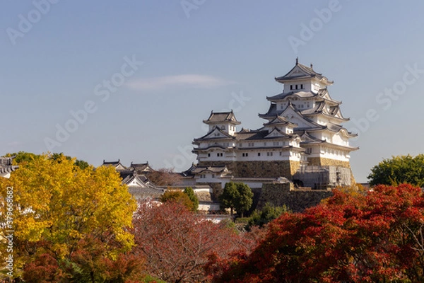 Fototapeta The beautiful castle of Himeji (Japan)