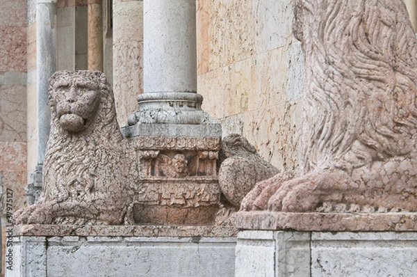 Fototapeta Cathedral. Piacenza. Emilia-Romagna. Italy.