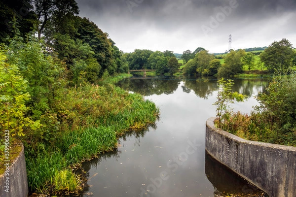 Fototapeta lake in the forest