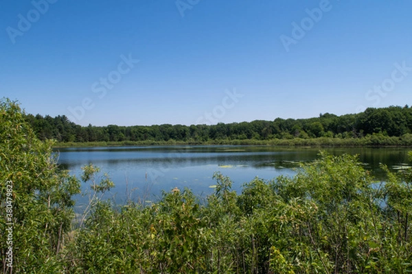 Fototapeta View of the lake "La Sauvagine" in Oka's national park, Quebec