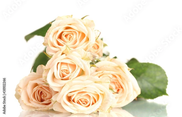 Fototapeta Bouquet of white roses isolated on white