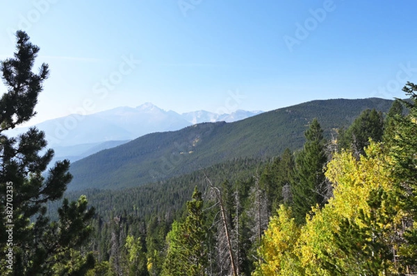 Fototapeta Trees and Mountains